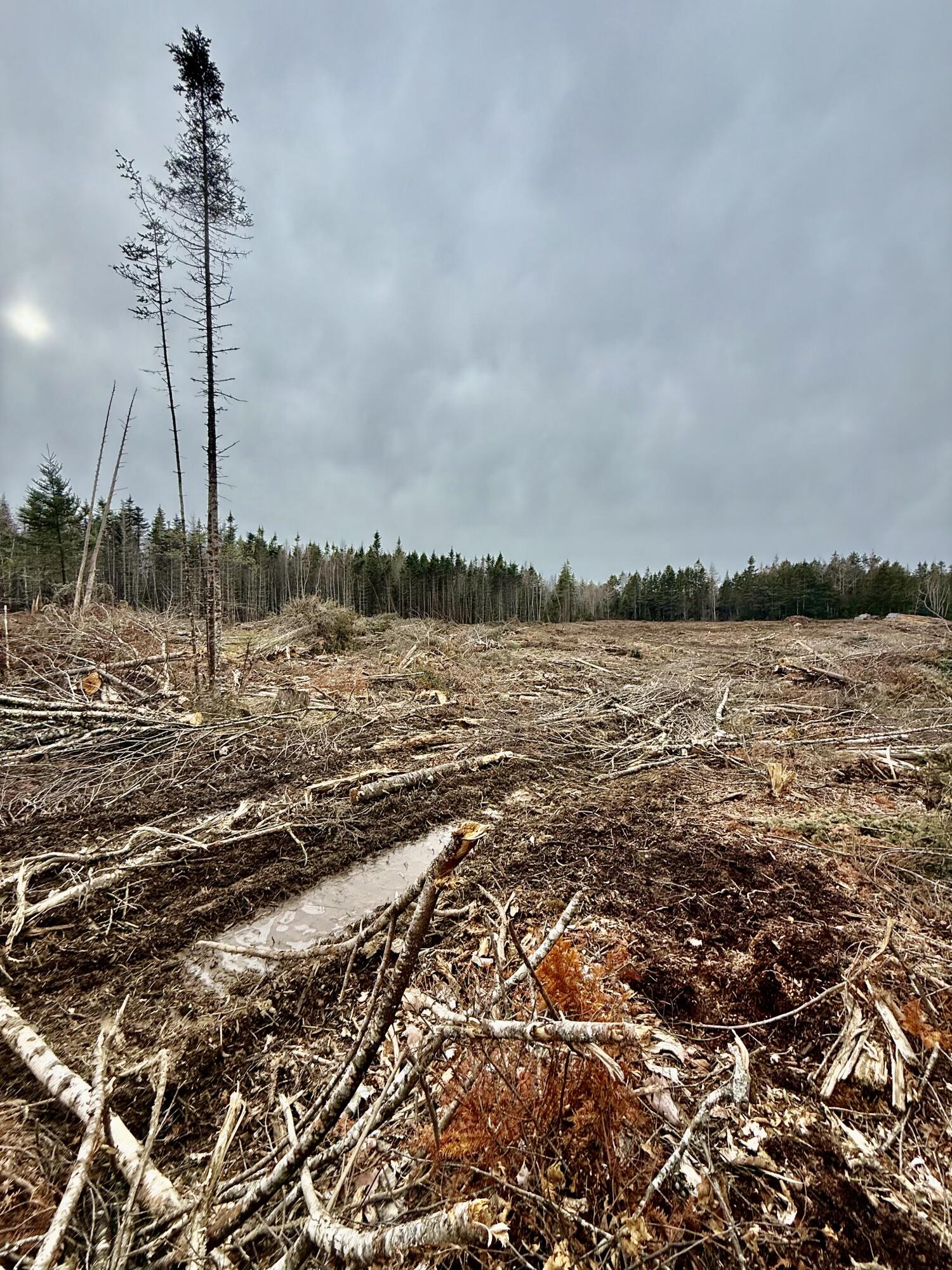 L1 Lively Brook, Unit ACRES Whiting, ME 04691 - Photo 20 of 27 IMG_0262