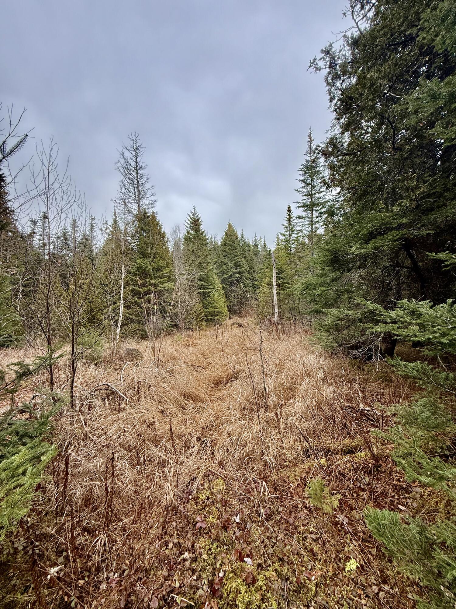 L1 Lively Brook, Unit ACRES Whiting, ME 04691 - Photo 25 of 27 IMG_0310