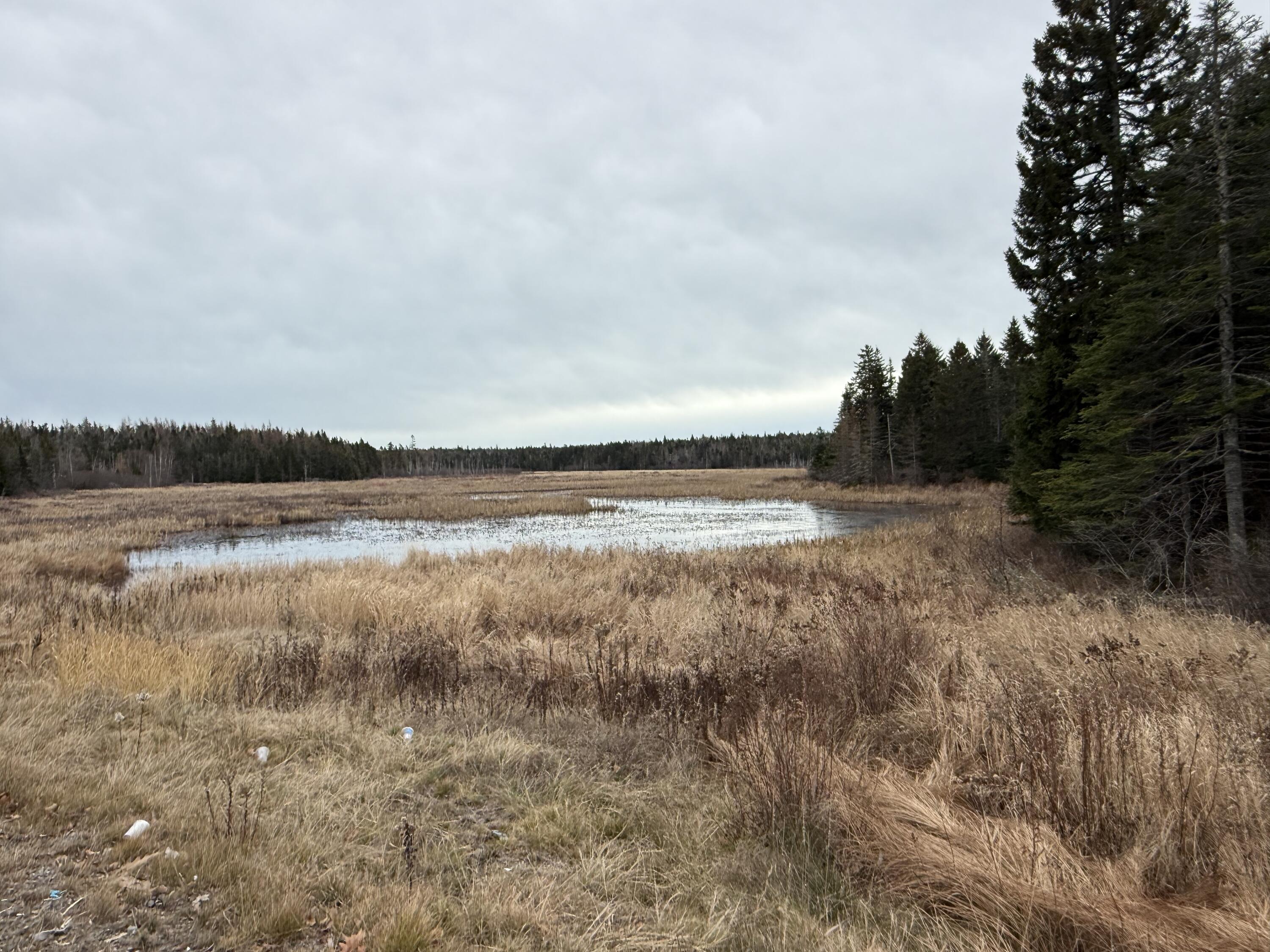 L1 Lively Brook, Unit ACRES Whiting, ME 04691 - Photo 27 of 27 Lively Brook -Not On Property-