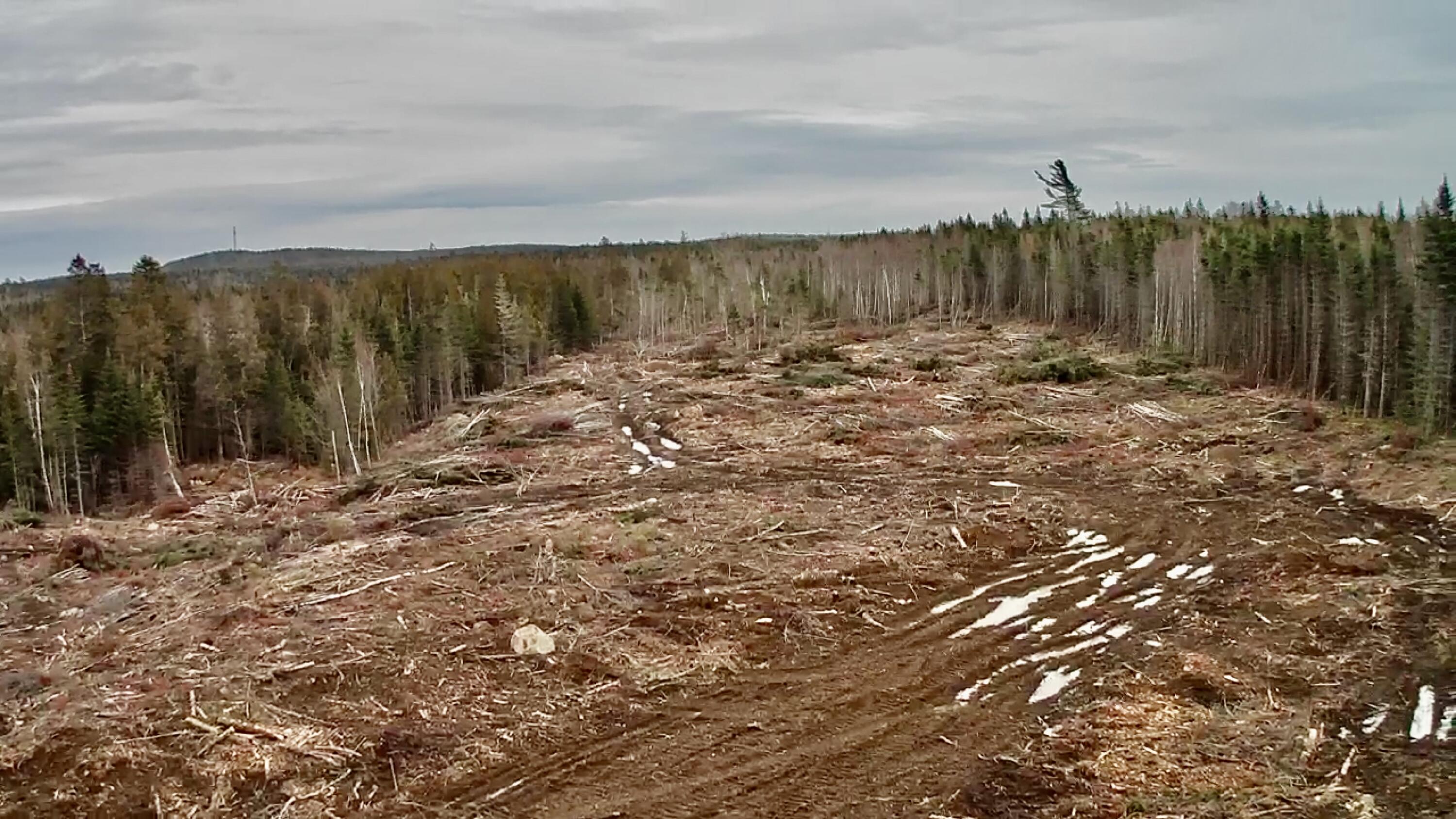 L1 Lively Brook, Unit ACRES Whiting, ME 04691 - Photo 3 of 27 IMG_0343