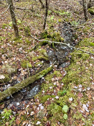 $59,995 | L1 Lively Brook, Unit ACRES, Whiting, ME 04691