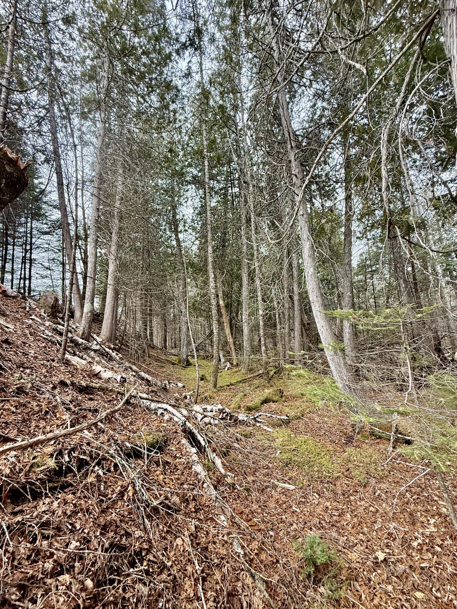 L1 Lively Brook, Unit ACRES Whiting, ME 04691 - Photo 10 of 27 IMG_0272