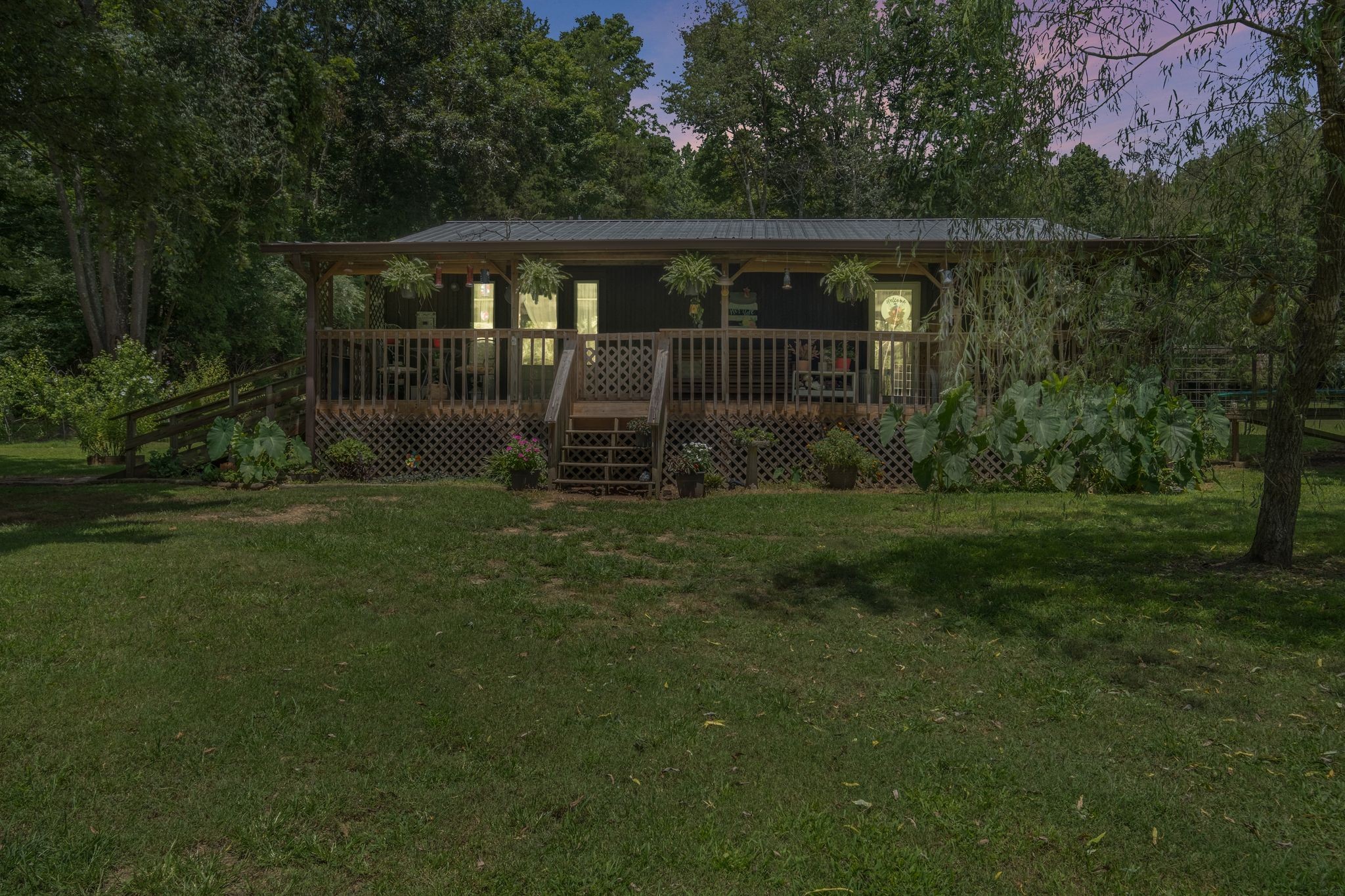 a view of a backyard with plants and garden