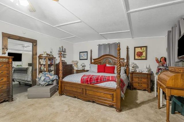 a view of a lush green forest