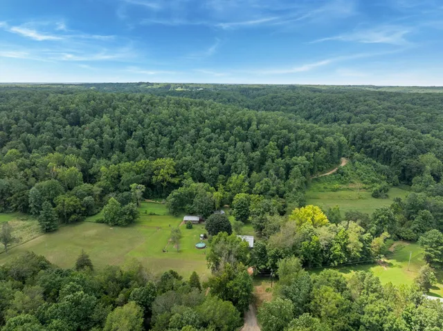 a backyard of a house with lots of green space