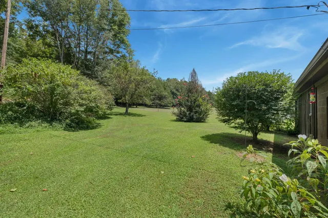 a view of a yard with a fountain