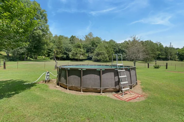 a view of a yard with trees