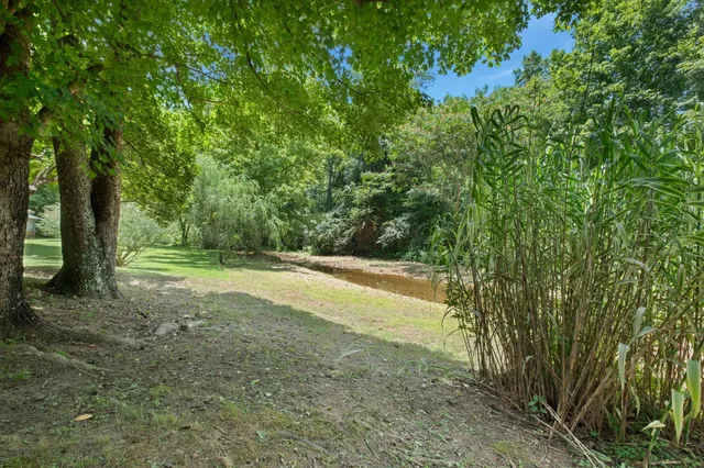 a view of a backyard with table and chairs plants and large trees