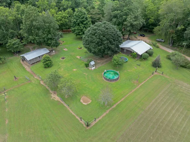 a view of a backyard with table and chairs potted plants and large tree