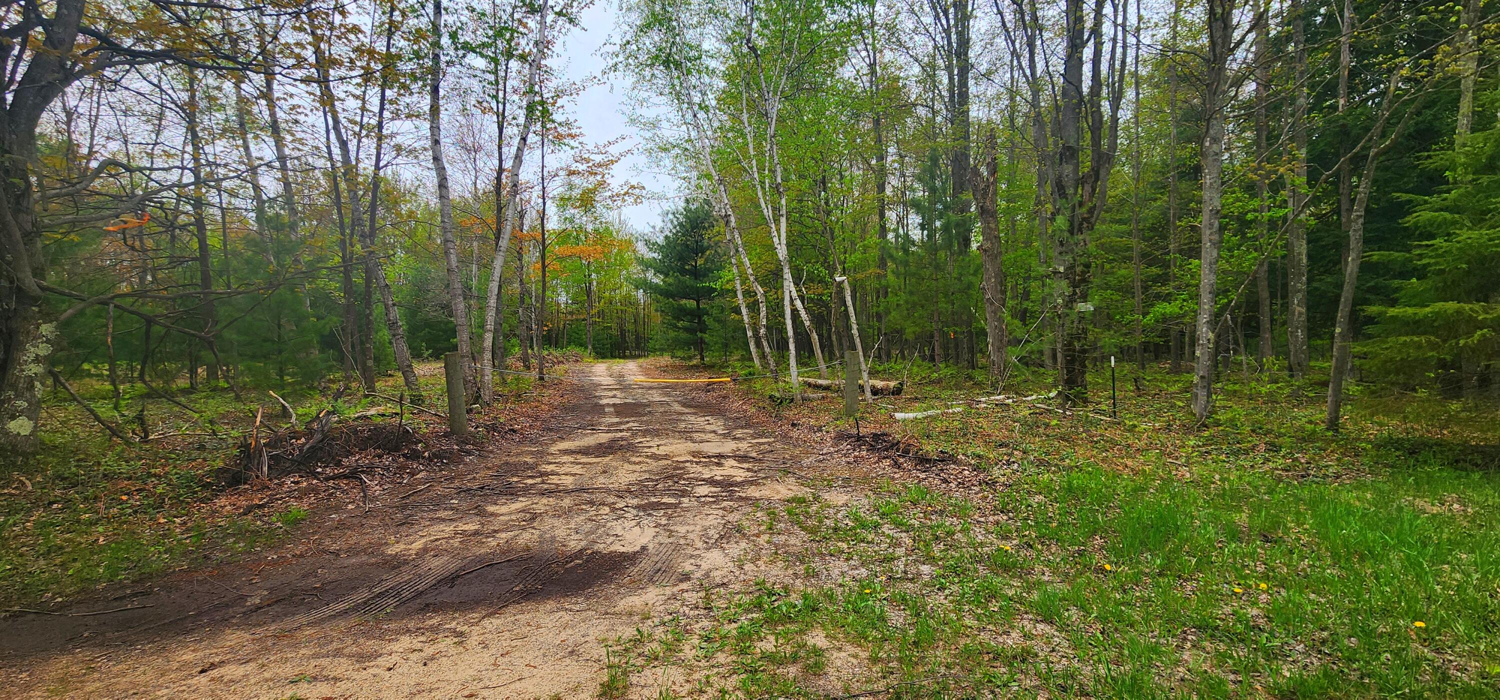 2187 Koenig Road Manistee, MI 49660 - Photo 2 of 20 2187 W Koenig Rd