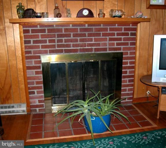 177 Morrisons Road Stephenson, VA 22656 - Photo 11 of 20 Fireplace
