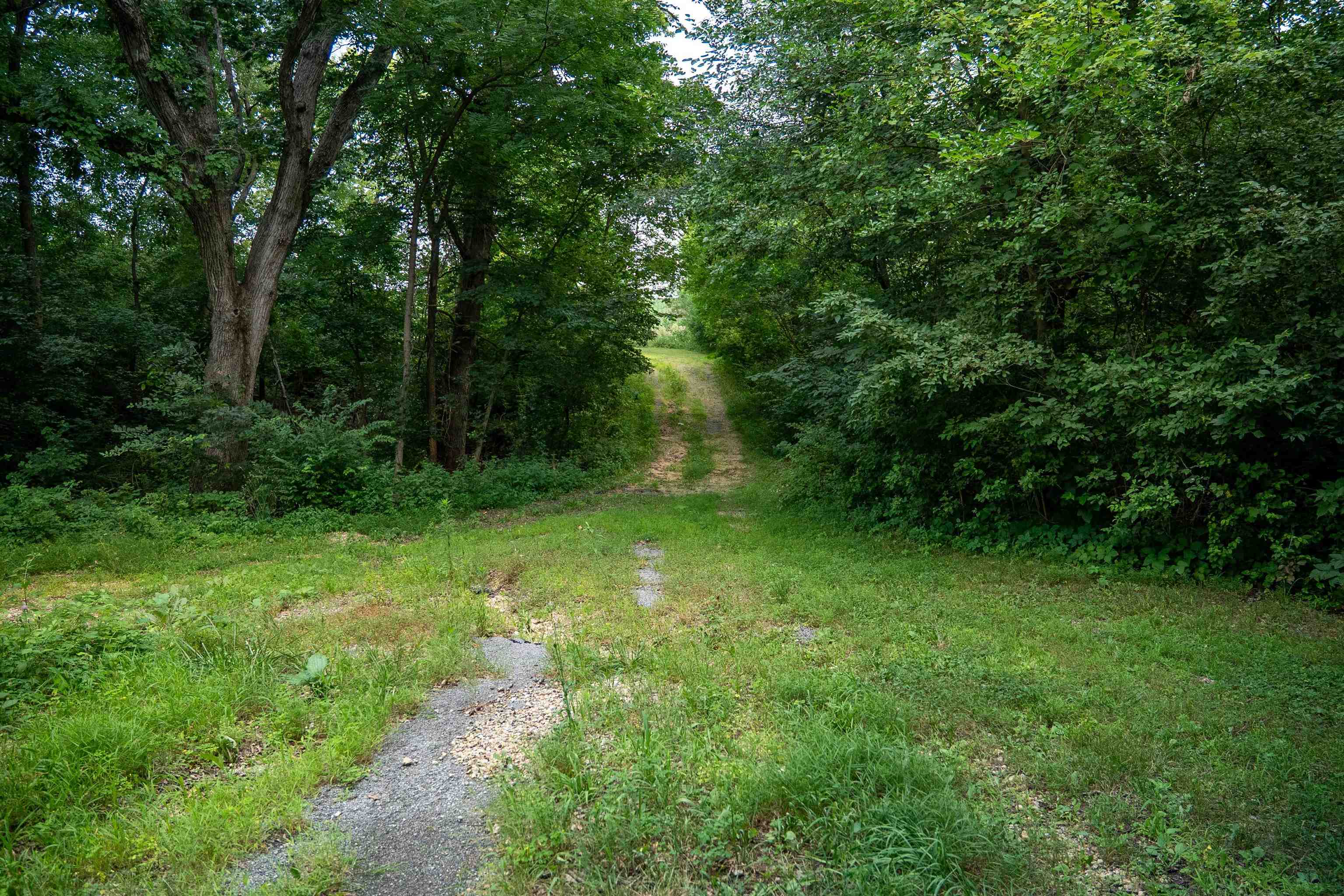 916 Town Line Road Leaf River, IL 61047 - Photo 46 of 77 Gallery Image 46