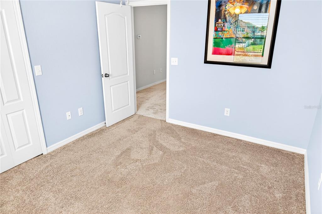 13415 White Sapphire Road Riverview, FL 33579 - Photo 56 of 96