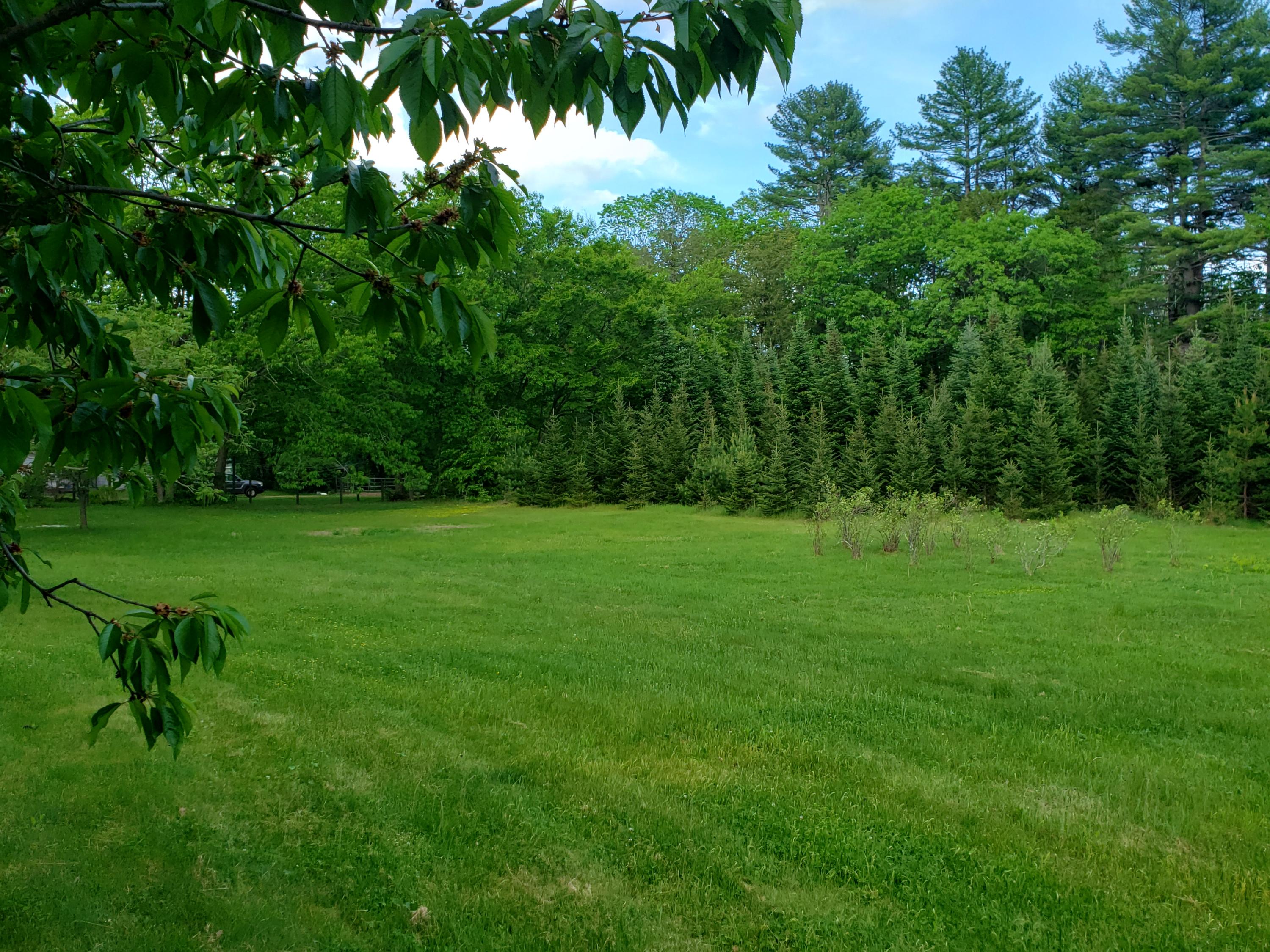 255 Groveville Road Buxton, ME 04093 - Photo 13 of 49 20200529_173847