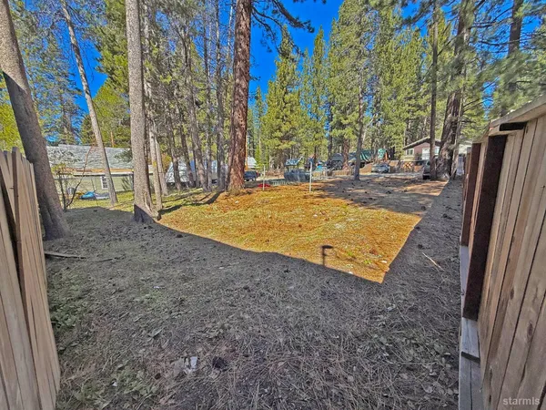 a view of a backyard with large trees