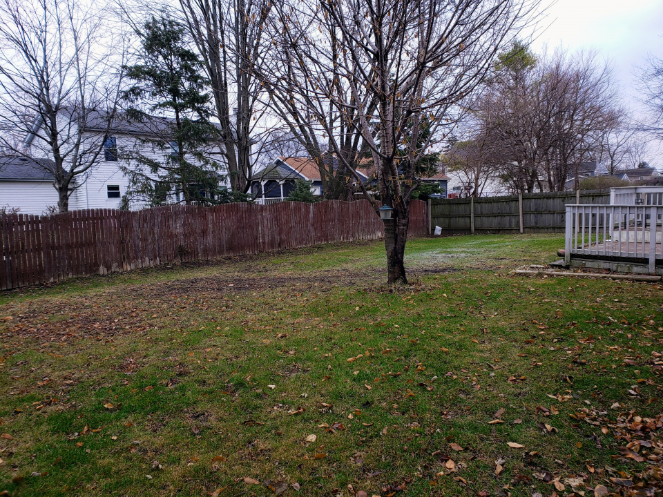 242 Roman Circle Bolingbrook, IL 60440 - Photo 5 of 16 Gallery Image 5