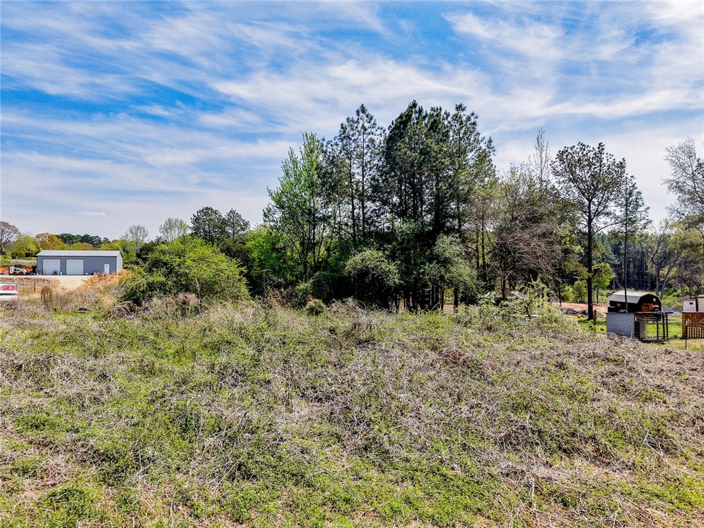 213 Evergreen Church Road Starr, SC 29684 - Photo 2 of 8