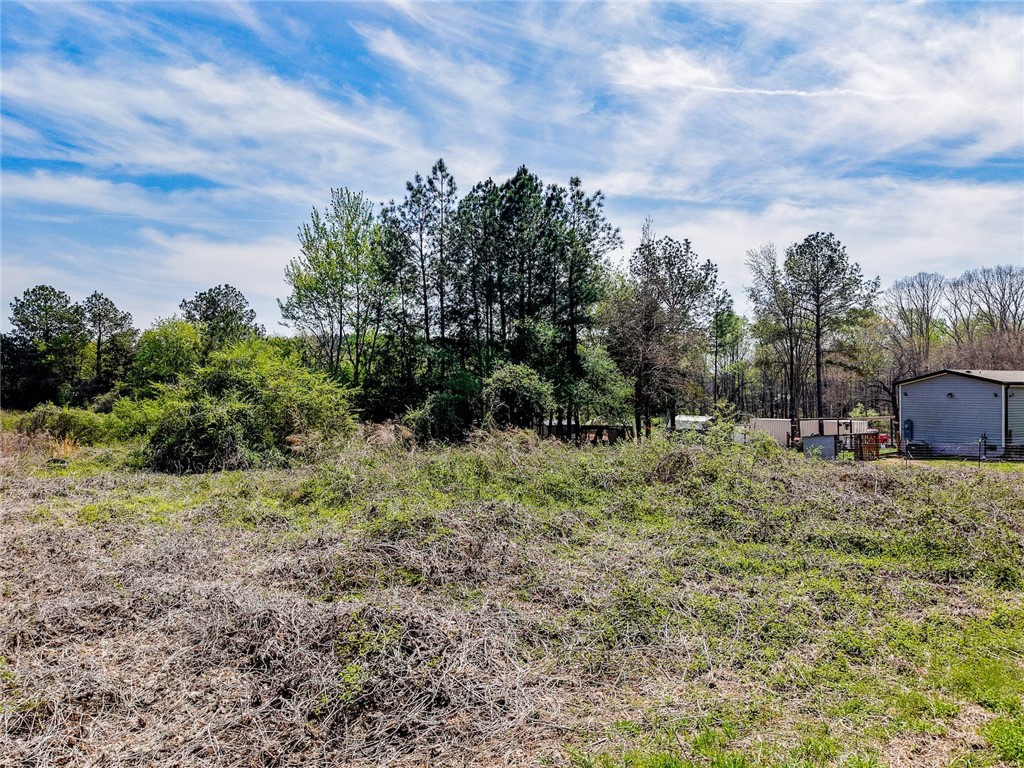 213 Evergreen Church Road Starr, SC 29684 - Photo 3 of 8