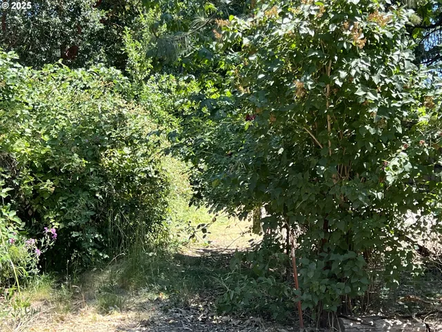 $74,900 | 23833 Redwood Highway, Kerby, OR 97531