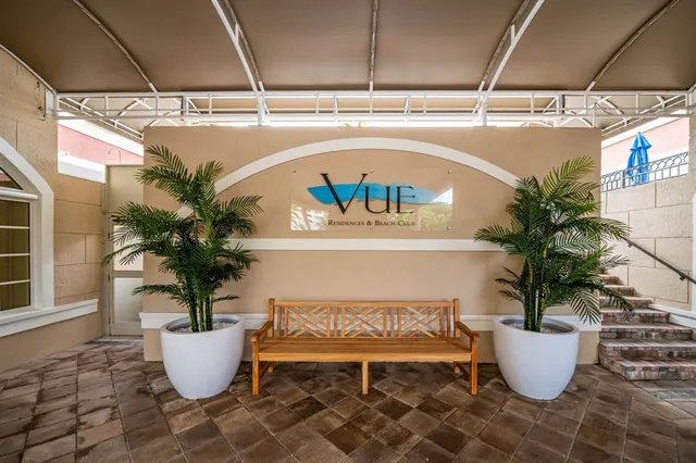 a living room with a potted plant and a window