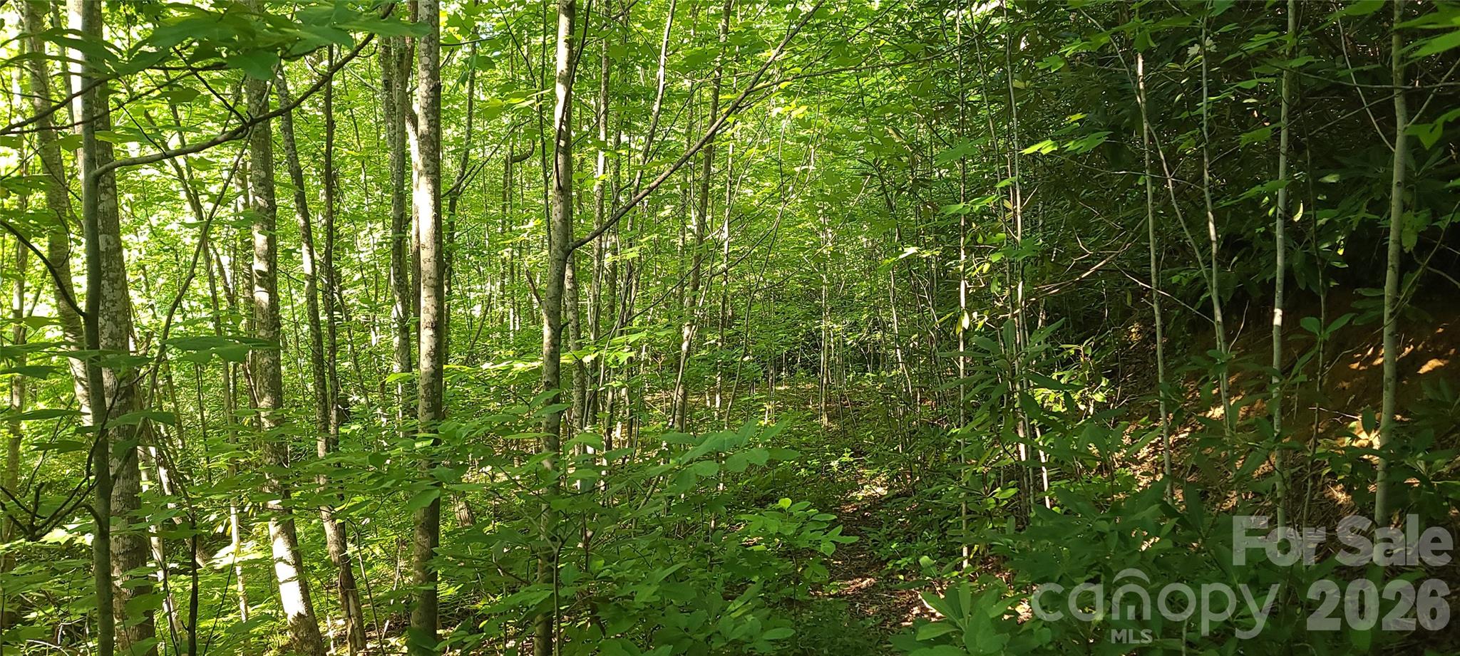 Lot#19 Mill Creek Road Old Fort, NC 28762 - Photo 4 of 13