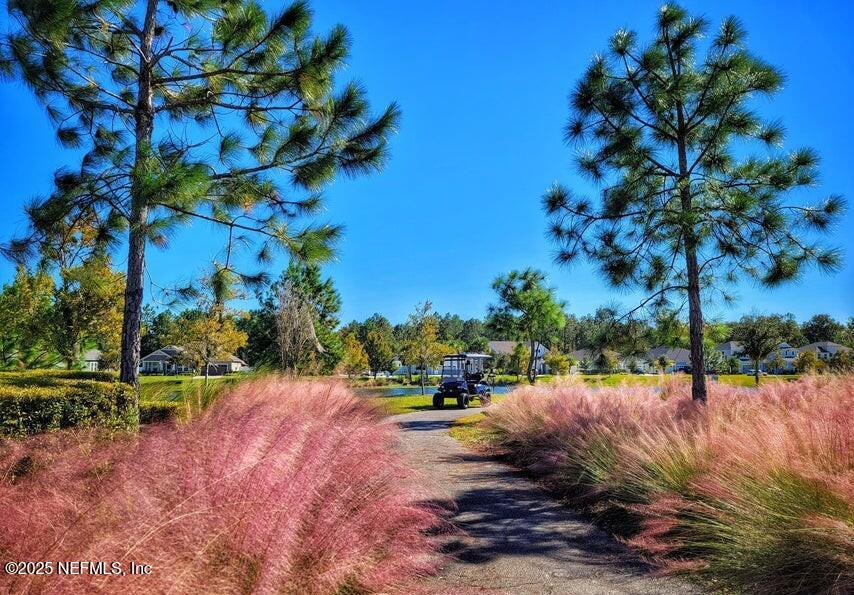 319 Footbridge Road St. Johns, FL 32259 - Photo 31 of 78 RT cart path