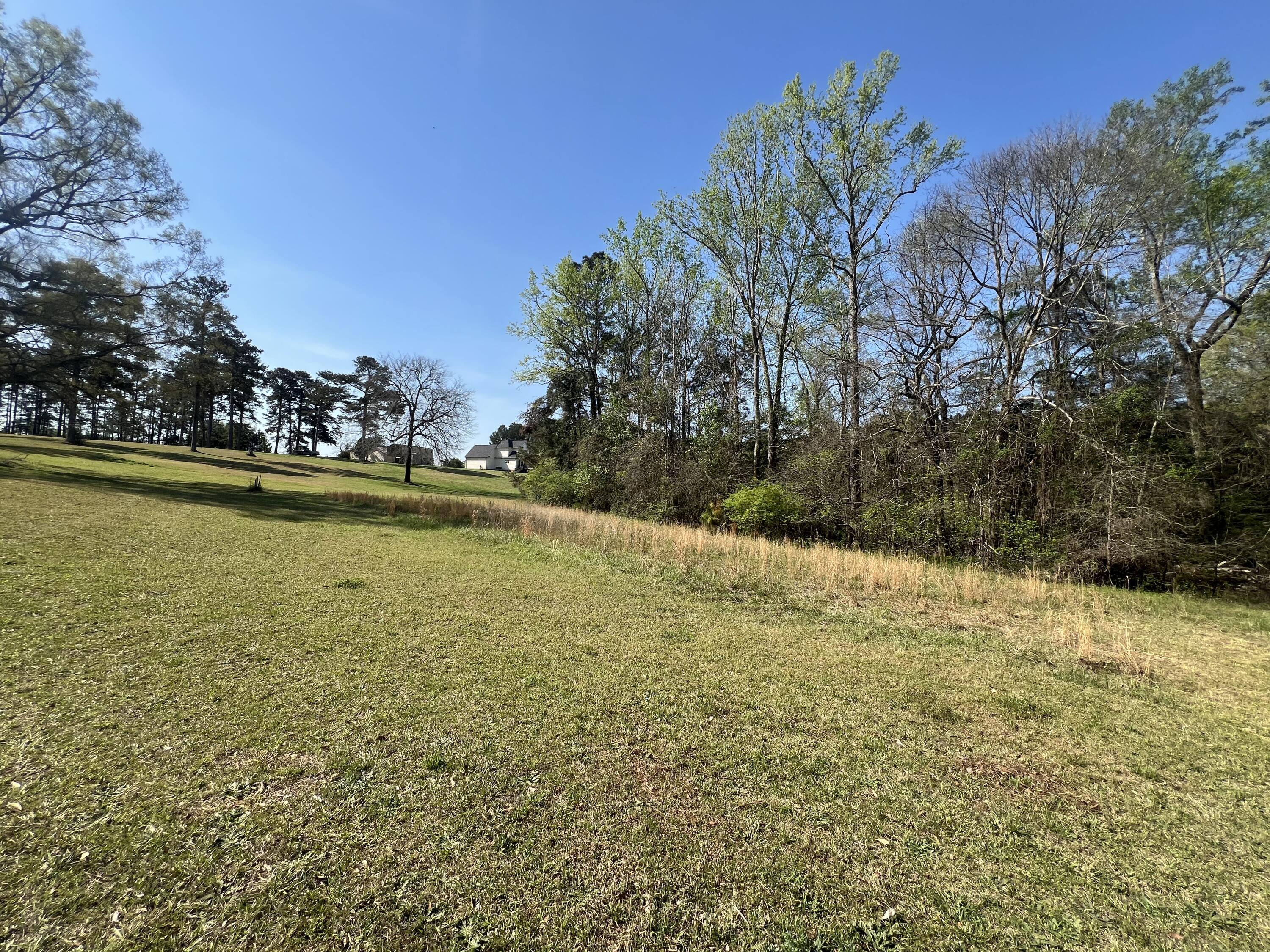 3329 Lincolnton Road Northeast Thomson, GA 30824 - Photo 49 of 51 IMG_9830