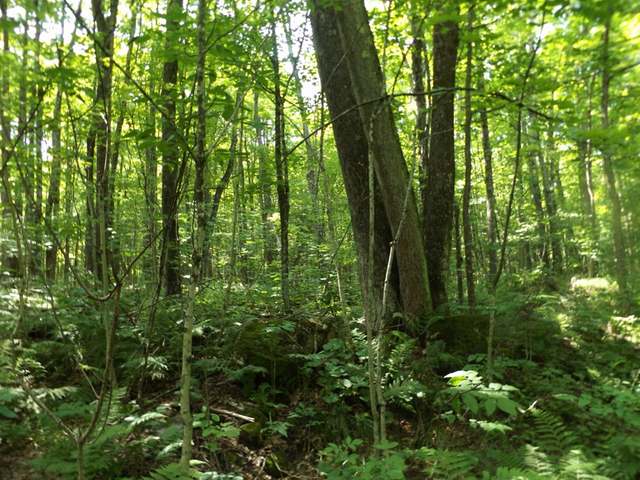6380 Double Bend Road Argonne, WI 54511 - Photo 5 of 20 Gallery Image 5