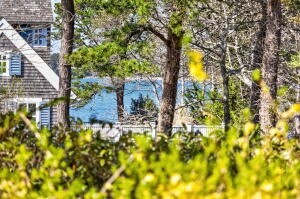 148 Seapine Road Chatham, MA 02650 - Photo 5 of 29