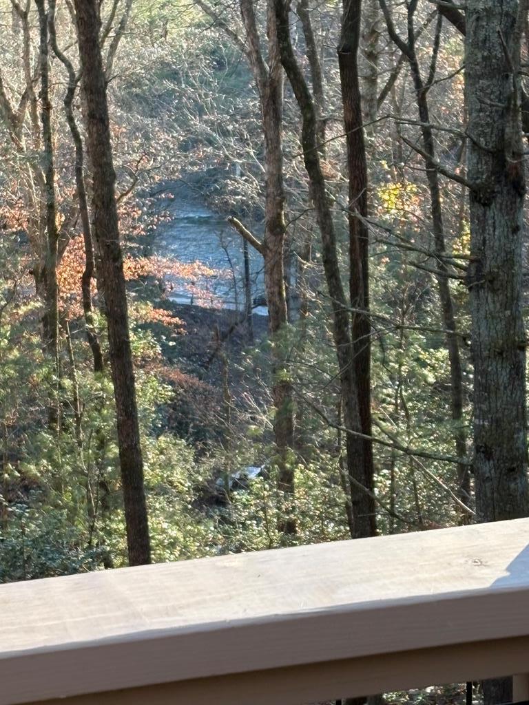141 Indian Cave Road Ellijay, GA 30536 - Photo 49 of 54 Gallery Image 49