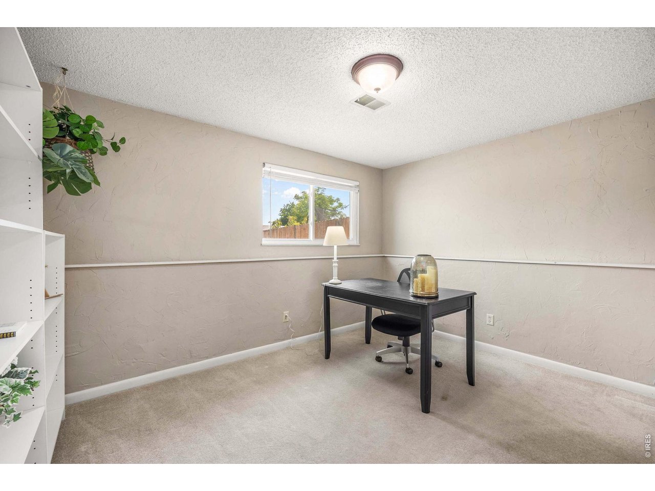 1634 28th Street Road Greeley, CO 80631 - Photo 24 of 43 Lower level bedroom