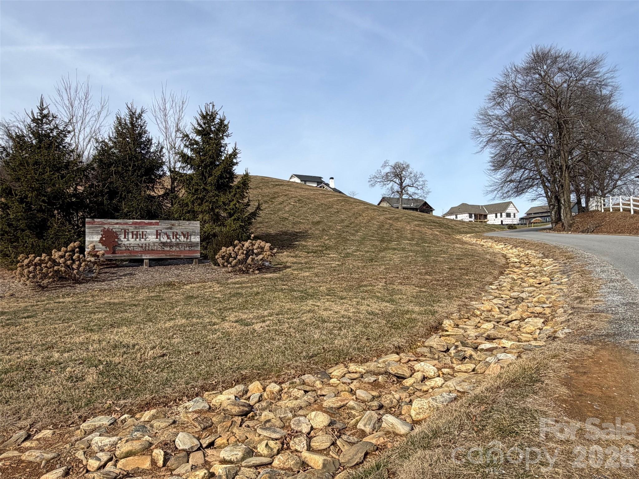 a view of a dry yard with trees
