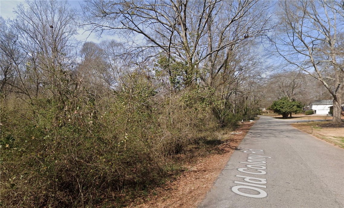 302 Old Colony Road Anderson, SC 29621 - Photo 2 of 2 A promising lot with abundant natural growth, nestled alongside a quiet neighborhood street.