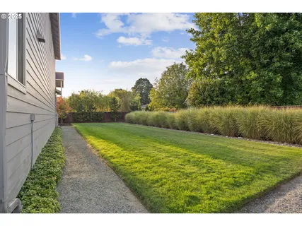 a view of a yard with a fountain