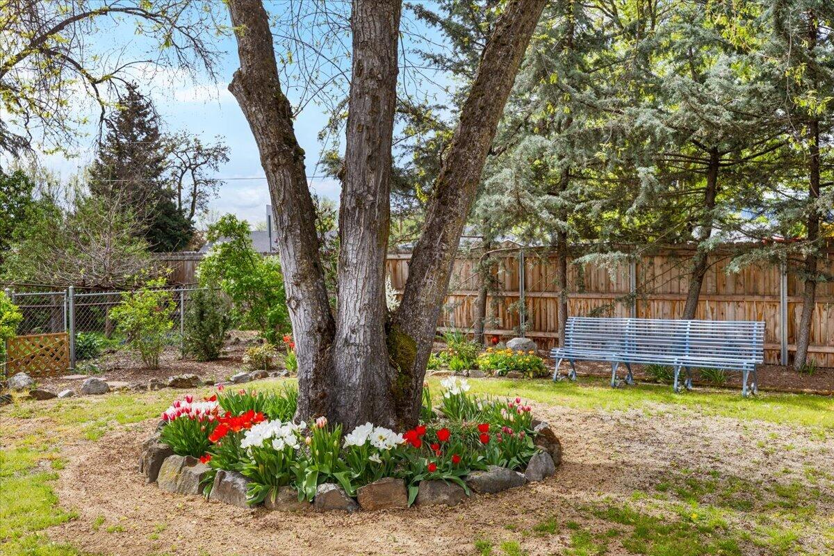 440 Bush Street Central Point, OR 97502 - Photo 27 of 40 a small garden covered with tall trees