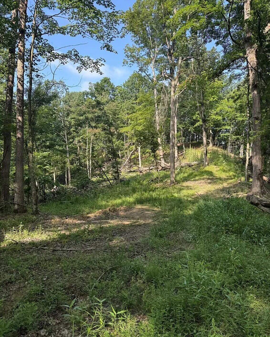0 Hinkley Hollow Road Portsmouth, OH 45662 - Photo 41 of 48 Copy of 41
