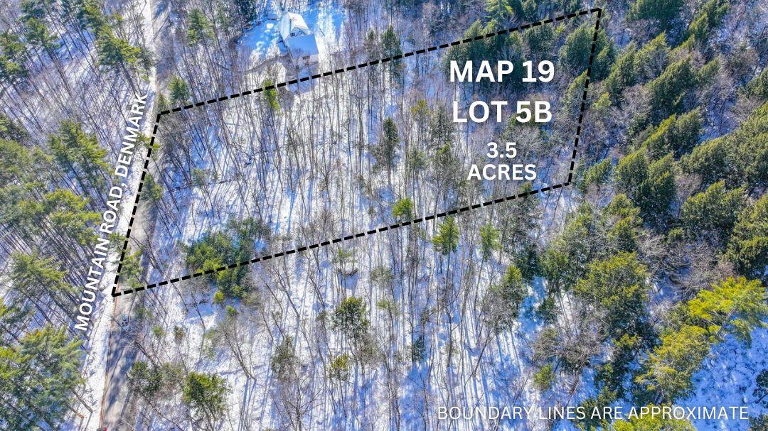 Map19-lot5b Mountain Road Denmark, ME 04022 - Photo 2 of 11 BOUNDARY LINES ARE APPROXIMATE1 (2)