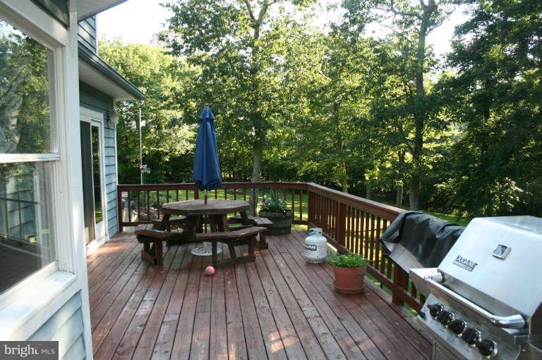 794 Parishville Road Gore, VA 22637 - Photo 7 of 30 Exterior (Rear)