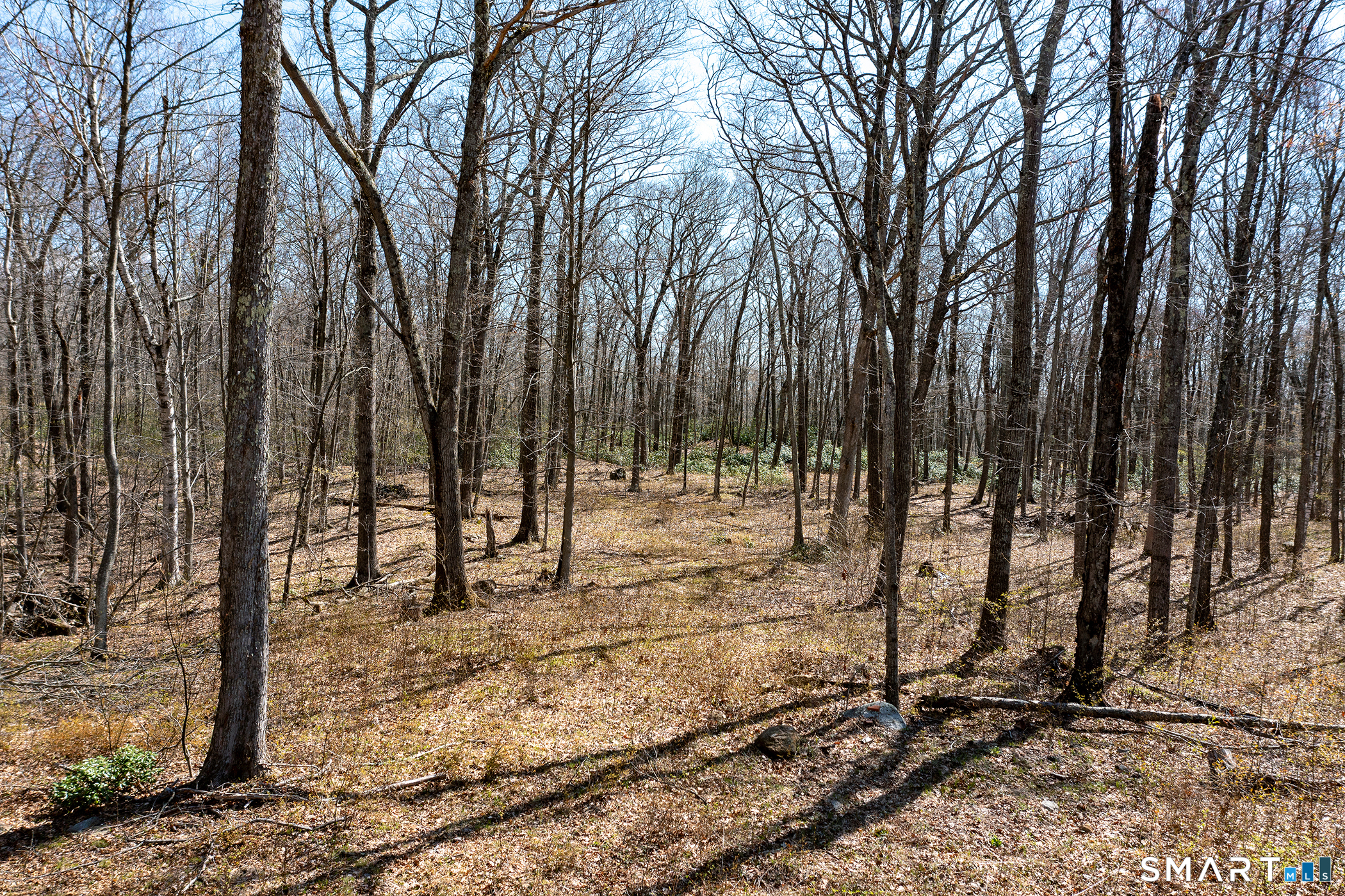 22 Old Paddock Lane Kent, CT 06785 - Photo 3 of 8