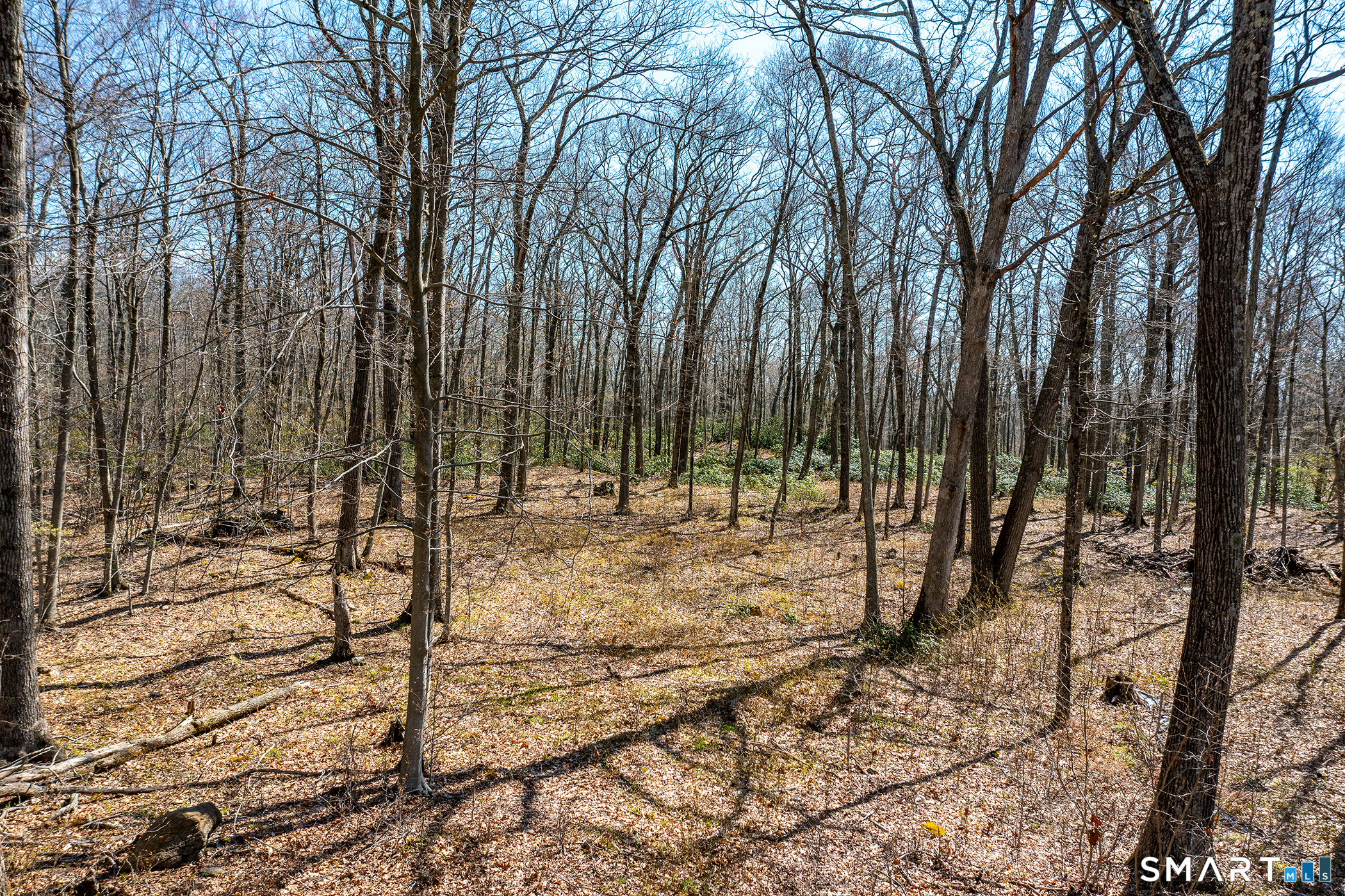 22 Old Paddock Lane Kent, CT 06785 - Photo 4 of 8