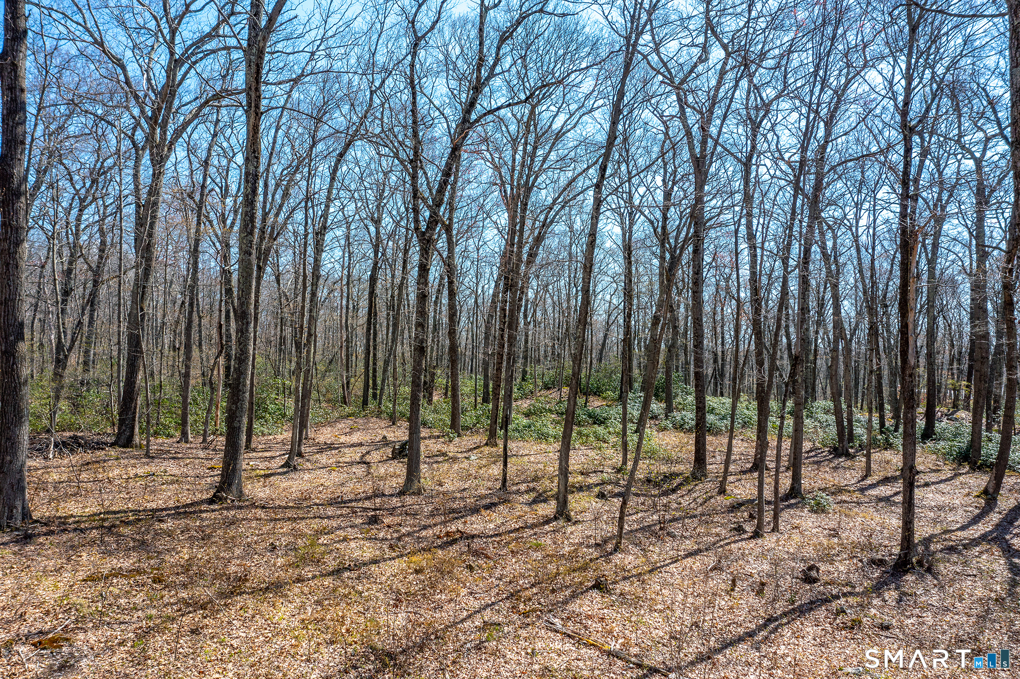 22 Old Paddock Lane Kent, CT 06785 - Photo 5 of 8