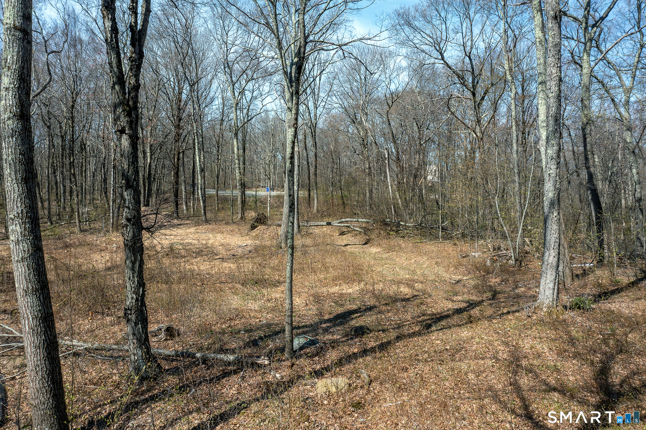 22 Old Paddock Lane Kent, CT 06785 - Photo 6 of 8