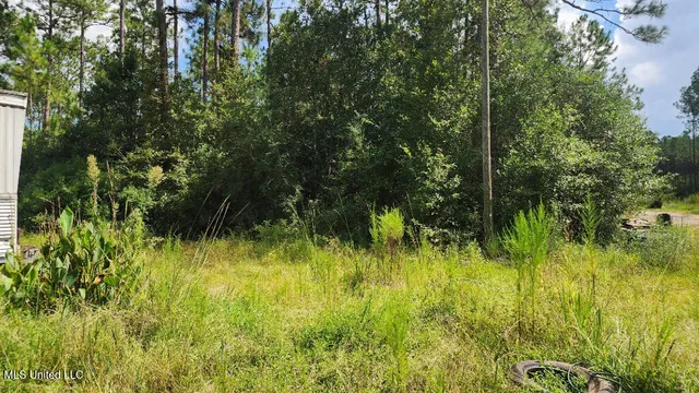 $36,500 | 26094 Rainbow Drive, Perkinston, MS 39573