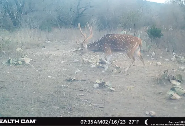 $654,000 | 2733 Private Road 4560, Rocksprings, TX 78880