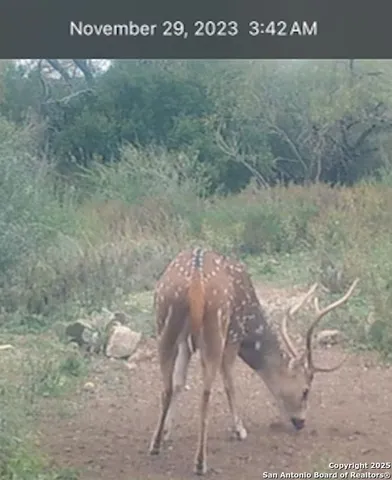 $654,000 | 2733 Private Road 4560, Rocksprings, TX 78880