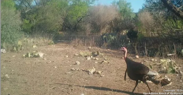 $654,000 | 2733 Private Road 4560, Rocksprings, TX 78880