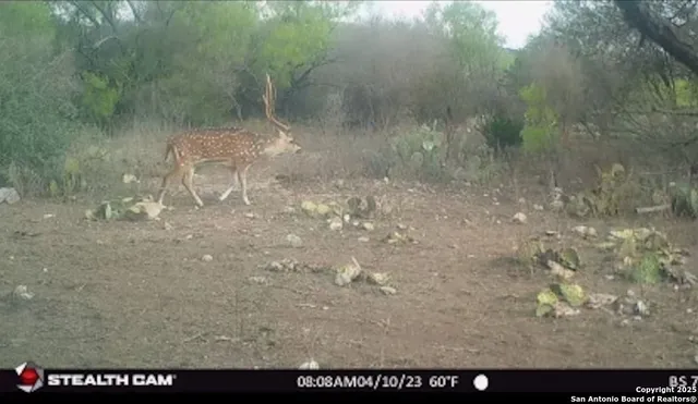 $654,000 | 2733 Private Road 4560, Rocksprings, TX 78880