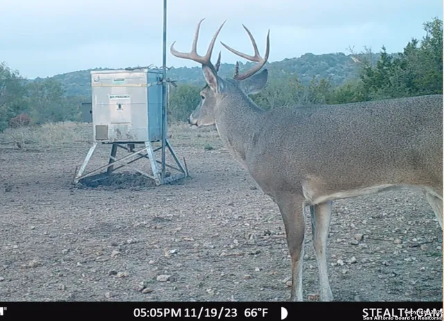 $654,000 | 2733 Private Road 4560, Rocksprings, TX 78880