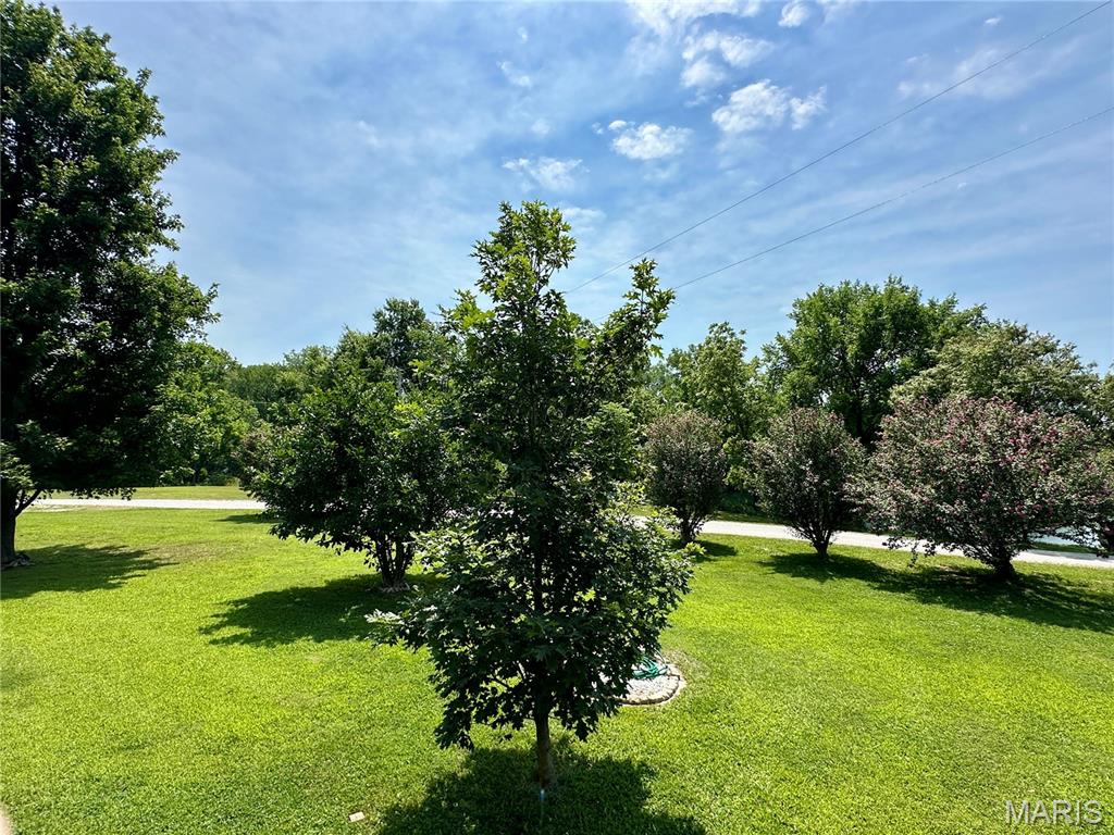 9345 Schaller Road Lenzburg, IL 62255 - Photo 29 of 31