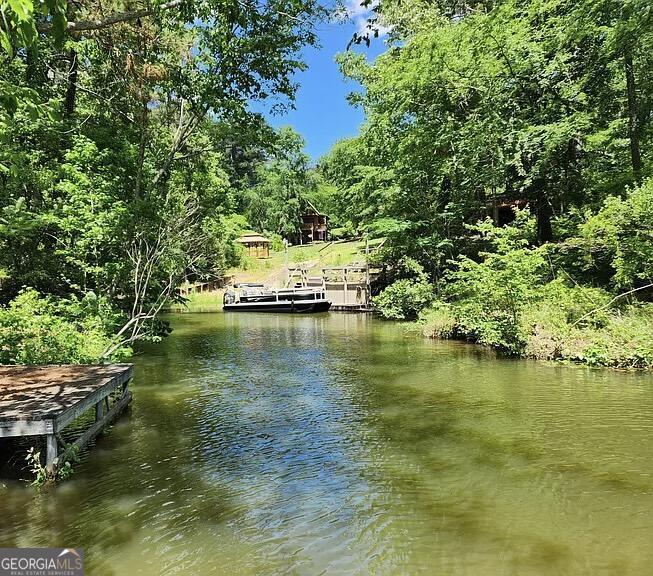 333 Venture Trail Sparta, GA 31087 - Photo 1 of 19